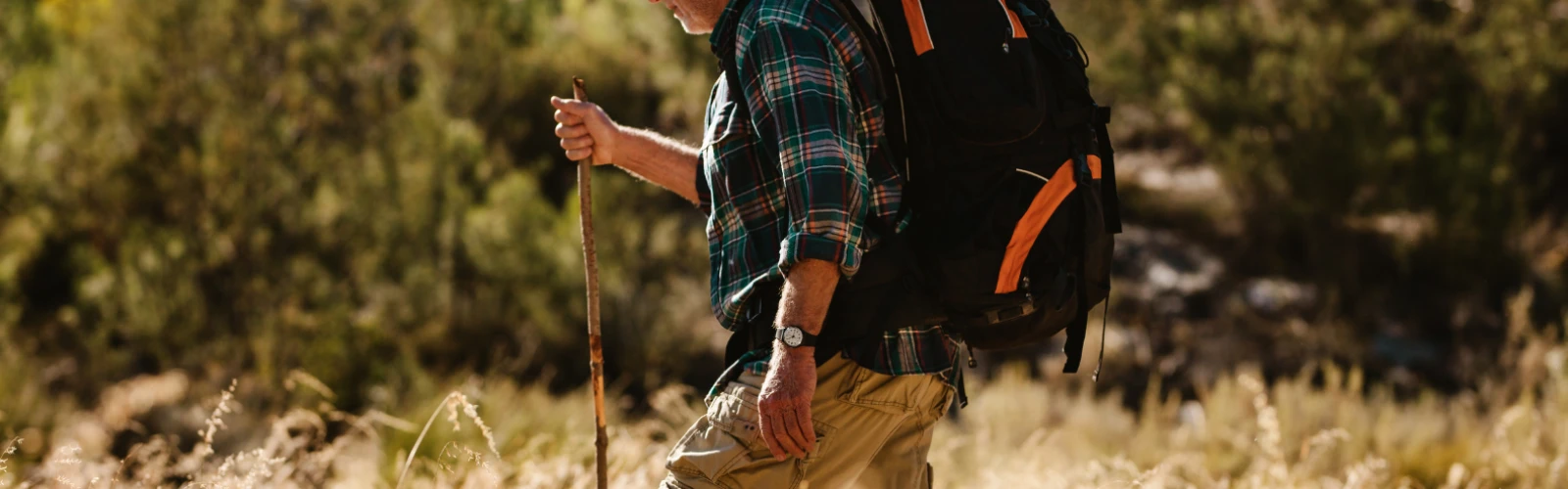 Best Outdoor Adventures in Roseville, United States for Nature Lovers