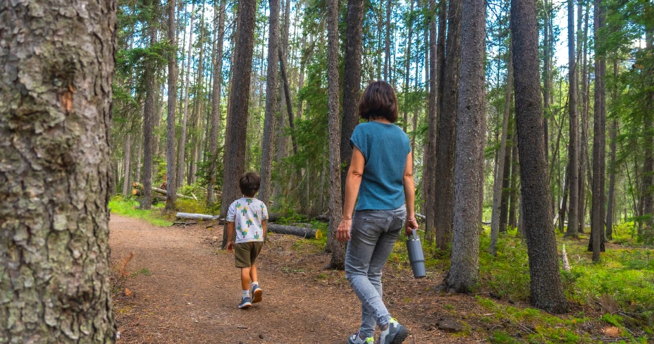 Fun Things to Do in Roseville USA with Family and Friends